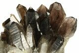Dark Smoky Quartz Crystal Cluster - Brazil #274485-1